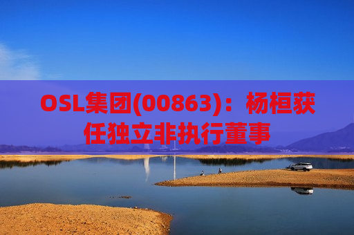 OSL集团(00863)：杨桓获任独立非执行董事  第1张