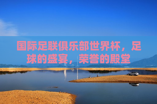 国际足联俱乐部世界杯，足球的盛宴，荣誉的殿堂