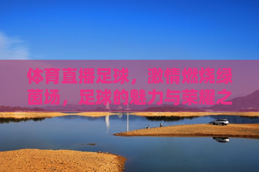 体育直播足球， *** 燃烧绿茵场，足球的魅力与荣耀之战，足球魅力与荣耀之战，体育直播点燃绿茵场 *** ，体育直播点燃绿茵场，足球的魅力与荣耀之战