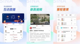 关于新浪即时比分直播老版的信息