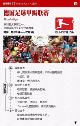 新浪体育手机浪网(新浪网手机体育频道)