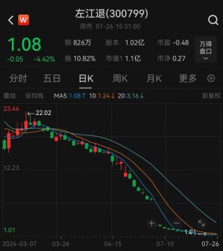 股价更高跌去99%，“最贵ST股”告别A股！
