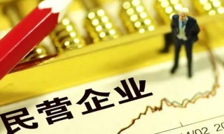 发挥专业优势服务实体经济(服务实体经济振兴,以什么领域为重点)