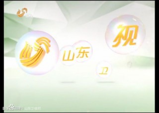 山东广播电视台体育频道直播(山东广播电视台体育频道直播课)