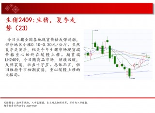 中天期货:棉花底部震荡 纸浆继续下跌