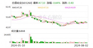 合盛硅业：回购公司股份8212418股