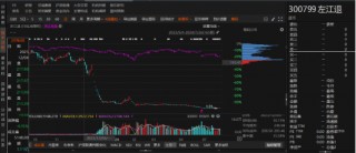 左江退因涉嫌信披违规被立案调查！