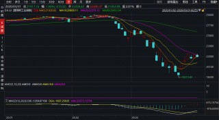 收盘：美股连续第二个交易日收跌(收盘美股连续第二个交易日收跌的原因)