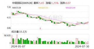 中钢国际：上半年新签工程项目合同96.99亿元