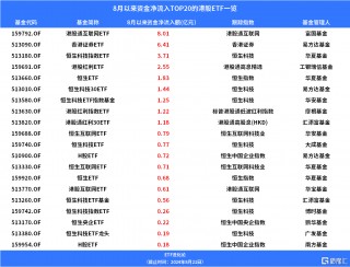 中概互联ETF、香港消费ETF上涨，8月资金净流入港股通互联网ETF、香港证券ETF、恒生科技指数ETF