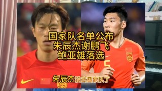 朱辰杰(申花中卫朱辰杰落选国足)