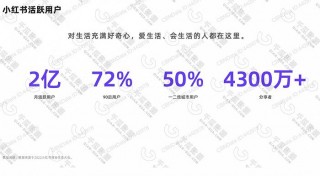 包含小红书CFO离职，上市前景不明的词条