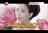 东方卫视直播回放观看(东方卫视直播回放观看在线观看)