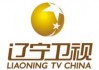 辽宁卫视直播观看(辽宁卫视直播在线观看高清直播回放)