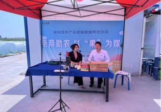 关于电商助农到底是不是伪命题的信息