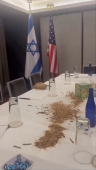 外媒：内塔尼亚胡在美国会演讲激起多方 *** ，视频显示有人在其下榻酒店释放大量昆虫