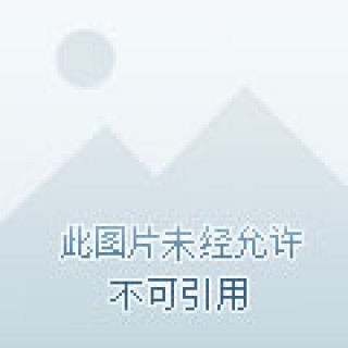 挪超直播在线观看(挪超比赛高清现场转播)