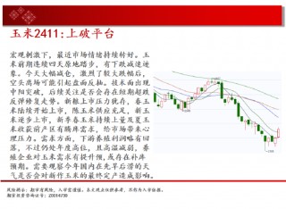 中天期货:棕榈继续拉高 橡胶波动率放大继续走高