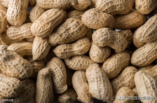 5月18日河北滦县花生价格行情的简单介绍