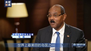 安提瓜和巴布达(安提瓜和巴布达是一个国家吗)
