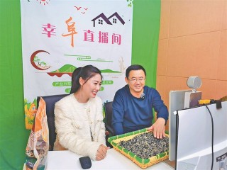 现场直播(现场直播乒乓球比赛)
