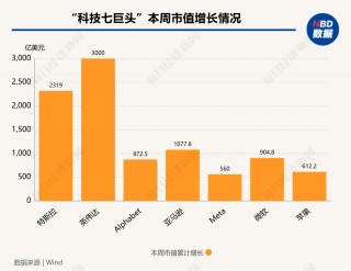 硅谷成大选赢家！七巨头市值一周增9000亿美元，马斯克3000亿美元身家稳居全球之一