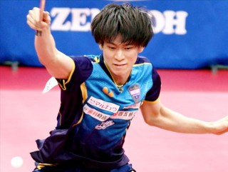 张本智和(张本智和是哪里人)