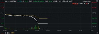 年报遭问询个股纷纷大跌，朗源股份20%跌停