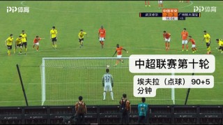 湖北绿茵吧(湖北绿茵吧卡耶维奇)