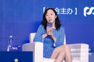 民生理财徐红：资产并不是波动更大就是最差的，合意的资产才是最重要的