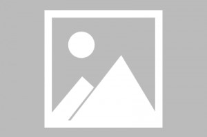 关于顺义仁和镇邻里携手共渡难关的信息
