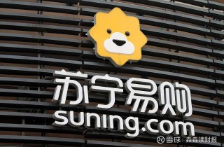 翻不了身的苏宁，回不去的张氏父子的简单介绍