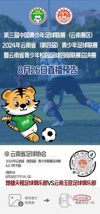 新足球直播视频(足球直播视频在线观看免费)