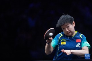 乒乓球今天最新新闻(乒乓球今天最新新闻27日)