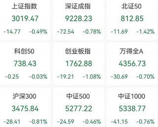 国家大基金持股概念震荡走低(国家大基金持股概念震荡走低的原因)