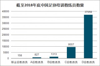 中国足球发展现状(中国足球发展现状与研究趋势)