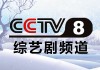 cctv官网免费观看(cctv官网免费观看武林外传48集)