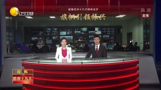 辽宁卫视直播观看(辽宁卫视直播在线观)