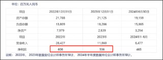 TCL科技百亿高溢价收购过剩产能？逾1600亿债务压顶能否熬到周期反转