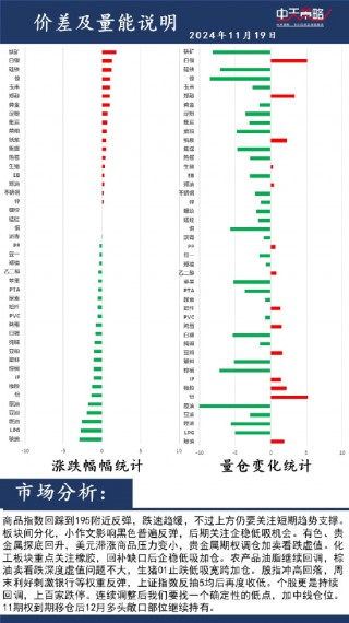 中天策略:11月19日市场分析