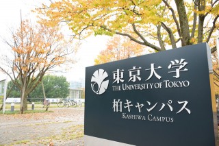 东京大学(东京大学官网)