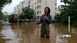 卫视直播回放(卫视直播回放在哪里看)