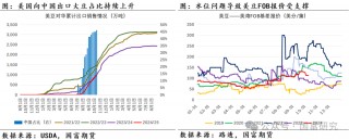 【USDA】10月报告：豆系估值受压制，关注美豆需求端以及巴西天气变化