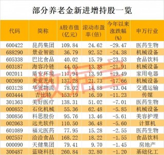 养老金长期看好股竟是它！加仓迹象明显，滞涨股揭晓，5只具备国资背景