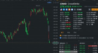 美国 *** 安全龙头CrowdStrike继续下跌8.7% “蓝屏事件”发酵