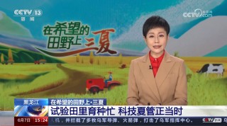 cctv13新闻频道高清直播(cctv13新闻频道高清直播l,cctv5)