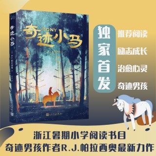 帕拉西奥(帕拉西奥斯什么水平)