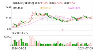 振华股份：发行可转债约4.06亿元 申购日为7月12日