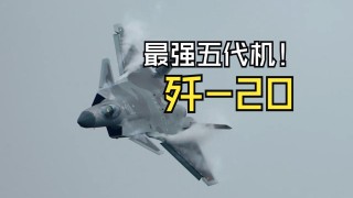 包含实锤！ *** 就是看不见歼-20！的词条