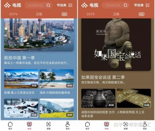 cctv直播app(电视家停了用什么看电视)
